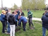 d_ziemi_17 (26)