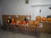 halloween_party_2014-1