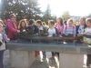 hel_17 (10)