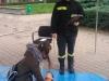 rajd_kraj-hist_19-4