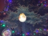 magia_swiat-16 (8)
