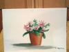 mal_ust_16 (8)