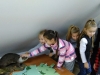 las3ab_18 (16)