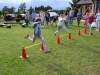 piknik1d_16 (10)
