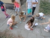 podchody2d2e (11)