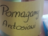 antos_16 (6)