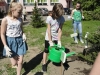 pszczoly_17 (11)