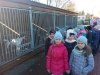 schronisko1d2b (9)