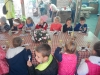 stadn-roka_16 (13)