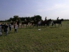 ulani3ab_17 (2)