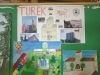 bith-tur_17 (1)