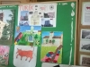 bith-tur_17 (3)