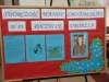 wandalia_chotomistyczne-6