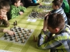 warcabypow_2015-3