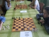 warcabypow_2015-9