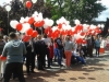 wolnewybory_2014-4