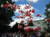 wolnewybory_2014-5