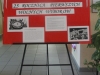 wolnewybory_2014-7