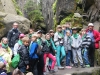 zielona_kotklodzka_2014-1