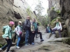 zielona_kotklodzka_2014-8
